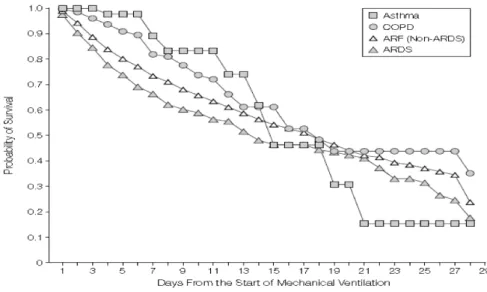 Figure 1. Probabilité de survie en fonction du nombre de jours de VM. 