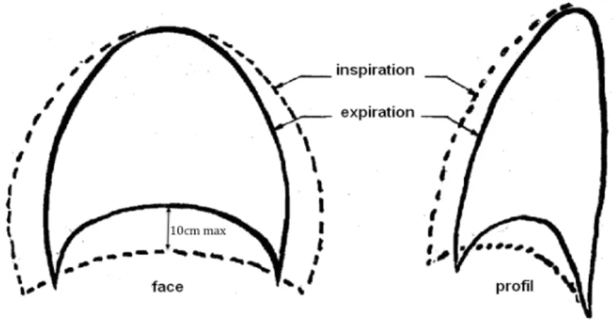 Figure 6. Représentation des pressions pleurale et abdominale suivant la contraction  diaphragmatique