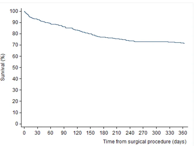 Figure 2. Probability of surviving in the year following hip fracture 