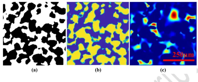 Fig.  6.  Visualization  of  steps  in  conversion  of  a  µ-CT  image  for  velocity  distribution  428 