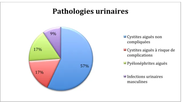 Figure 2 : Type d’infection urinaire pour laquelle l’ECBU a été prescrit 