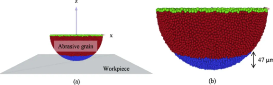 Fig. 6. (a) Front view of model disposition and (b) definition of domains and Pressure surface on SG abrasive grains.