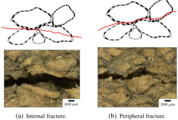 Figure 8. Scheme of the two types of intraparticular fracture observed for multiscale foams after mode I fracture tests.