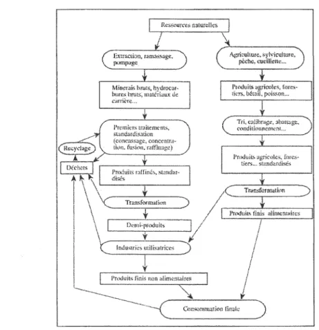 Figure 3.2:  Structure générale de la filière de production et de transformation d'une matière première  (Calabre, 1997)