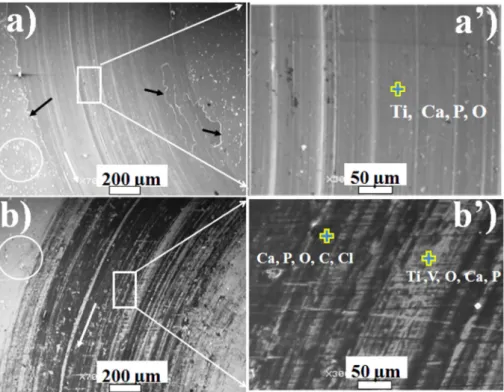 Fig. 8. Tribological test results: (a) COF evolution and (b) estimated speciﬁc wear rates and COF values at the steady state.