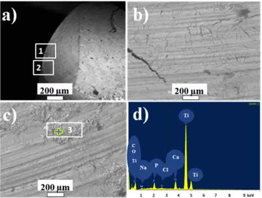 Fig. 10 shows SEM images of wear scar of one bone pin taken as an example (counterpart against C1 specimen)
