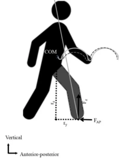 Figure 5. Representation in the sagittal plane of the mechanical parameters involved in the  computation of  
