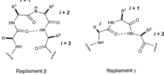 Figure 1. Structure générale des repliements f3 et y