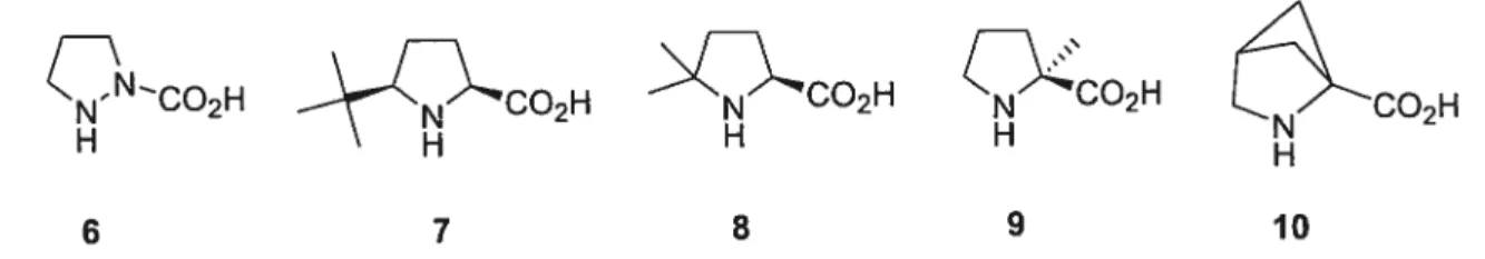 Figure 5. Exemples de prolines modifiées dans le but de varier le ratio d’isomères cis-trans