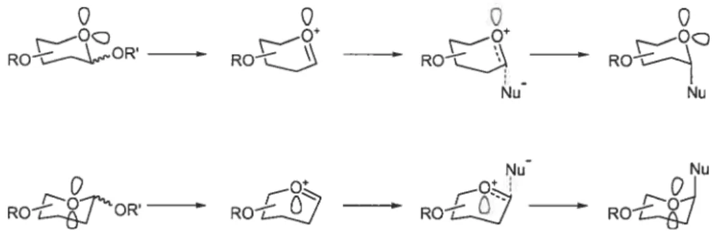 Figure 16 : l’effet cinétique anomérique