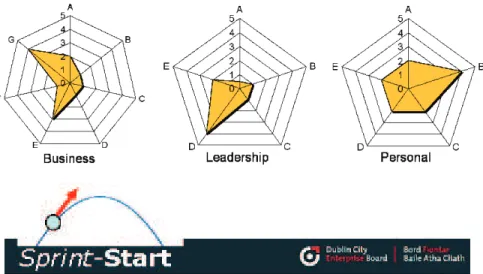 Fig. 6. Visualization of the various company views (source: Sprint-Start Program funded by  Dublin City Enterprise Board) 