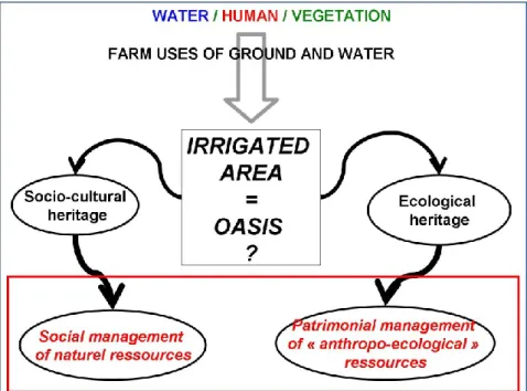 Figure 1 : Les héritages socio-culturel et écologique des oasis traditionnelles. Schéma Veyrac-Ben Ahmed  B