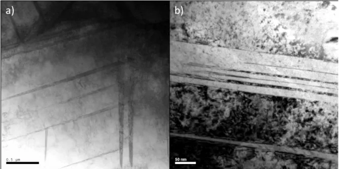 Fig. 3. TEM analyses on samples deformed in tension (a) at ε t = 0.05 and (b) at ε t = 0.3.