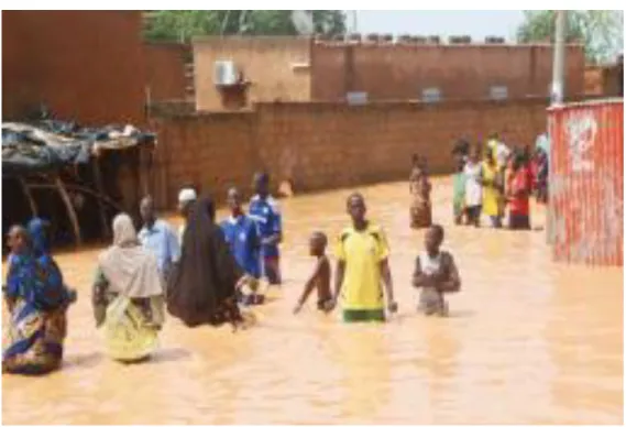 Figure 10: Submersion du quartier Karadjé, situé sur la rive droite en août 2012. Cliché : ONEP