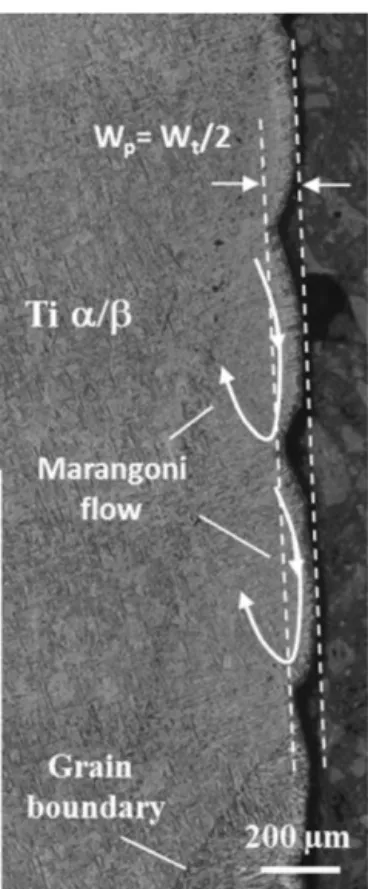 Fig. 10. Periodic meniscus formation on a Ti–6Al–4V wall (0.2 m/min, D m = 1 g/min, 500 W), W t = 120 ␮m – Expected localization of Marangoni thermo-capillary ﬂow.