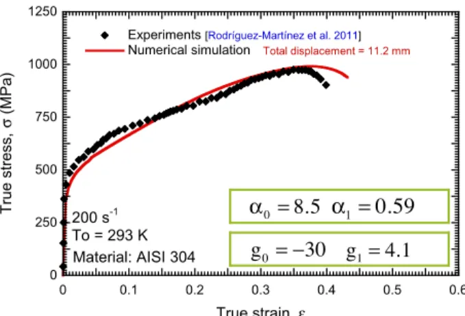 Fig. 5. Comparison between numerical predictions of the FE model and experiment performed at _ e ¼ 200 s 1 for T 0 = 293 K (Rodríguez-Martínez et al., 2011)