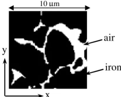 Fig. 1. Studied microstructure obtained from SEM 