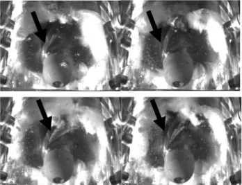 Fig. 18 Front views of the inducer during super-synchronous rotating cavitation (IND3, 0.6 N ref , Q n )