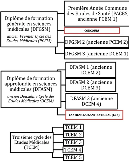 Figure 2 : Etudes de médecine 