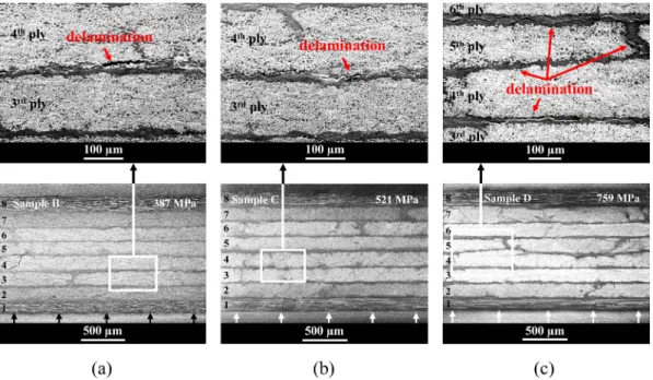 FIG. 6. Microscopic transverse observations with high magnification of the damage of 8 plies laminates