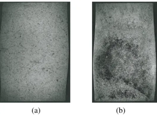 Figure 2: Photographie en coupe d’une pastille après essai. La déformée peut être symétrique (a) ou asymétrique (b) (essais effectués au CEA)