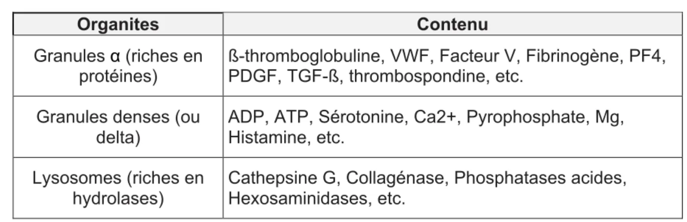 Tableau 1 : Principales molécules des différents granules  (5) 