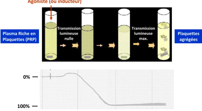 Figure  5 :  Principe  de  la  détermination  de  l’intensité  de  l’agrégation  plaquettaire  en  PRP  grâce  à  la  mesure de l’évolution de la transmission lumineuse après ajout d’un inducteur dans le milieu (39) 