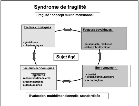 Figure 1 Représentation du syndrome de fragilité comme concept multidimensionnel [14]