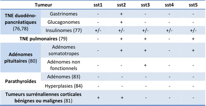 Tableau  6 :  profil  d’expression  des  récepteurs  de  la  somatostatine  dans  les  tumeurs  endocrines  Tumeur  sst1  sst2  sst3  sst4  sst5  TNE  duodéno-pancréatiques  (76,78)  Gastrinomes  -  +  -  -  - Glucagonomes - + - - -  Insulinomes (77)  +/- 