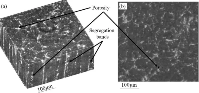 Fig. 2. X-ray microtomographic results of as-received M2 steel in (a) 3D and (b) 2D. 