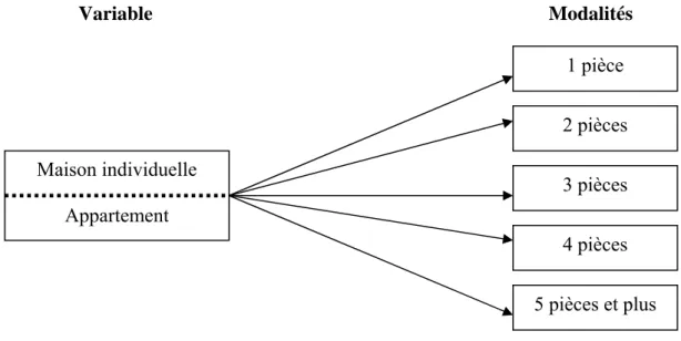 Tableau 6.5.1 : Taille des logements (en m 2 ) et leur évolution entre 1984 et 1996 