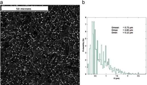 Fig. 1. (a) SEM image of the designed ferrite-Fe 3 C carbides steel with particle spatial distribution, (b) probability distribution of measured particle size D.
