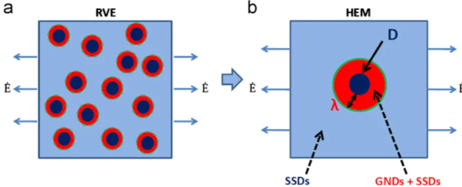 Fig. 9. (a) Representative volume element of the ferrite/cementite system (polycrystalline aspects and grain boundaries are disregarded) with GND layers constrained as a ﬁnite ‘‘interphase’’ of constant thickness l between the ferrite matrix (denoted M in 