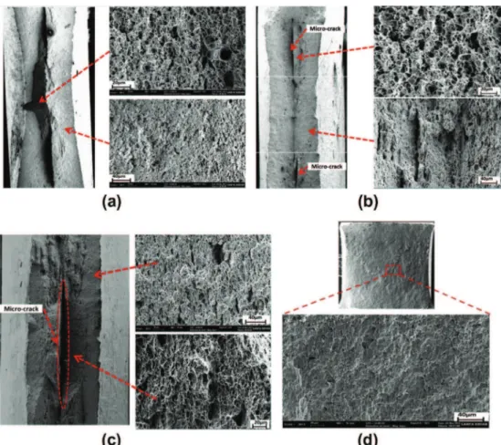 Fig. 11. Sem images of the failure surfaces of macroscopic specimens: (a) a smooth tensile specimen, (b) a notched tensile specimen (R = 20 mm), (c) a notched tensile specimen (R = 2 mm) and (d) a shear specimen.