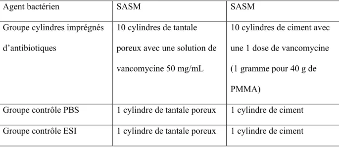 Figure 1 : Schéma de l’étude. SAMS : Staphylococcus aureus Sensible à la Méticilline.  