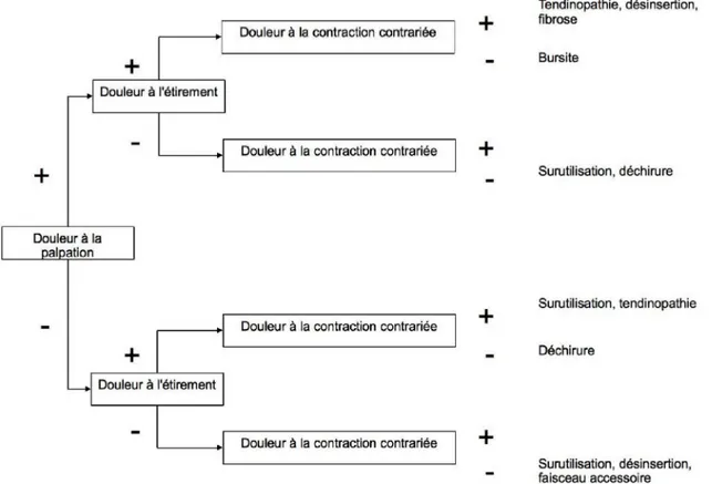 Figure 3: répartition des atteintes traumatiques chroniques selon les  signes de la triade clinique 