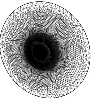 Fig. 9. Triangular mesh of the sliding interface.