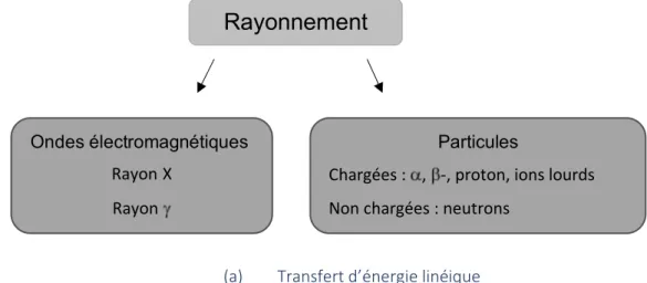 Figure 6 : Classifications des rayonnements ionisants 