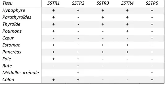 Tableau 8 : Profil d’expression des SSTR dans les tissus humains. 