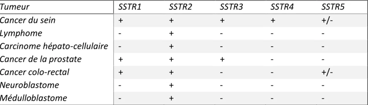 Tableau  10  :  Profil  d’expression  des  SSTR  dans  les  tumeurs  non  neuroendocrines  et  non  méningiomateuses  Tumeur  SSTR1  SSTR2  SSTR3  SSTR4  SSTR5  Cancer du sein  +  +  +  +  +/-  Lymphome  -  +  -  -  -  Carcinome hépato-cellulaire  -  +  - 
