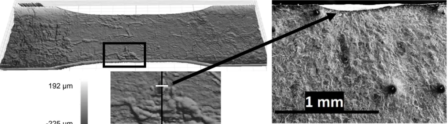 Fig 6 Surface scan of an as-forged specimen, showing the crack initiation and  propagation, with SEM image of the associated fracture surface  (defect size: 875 µm  long and 60 µm deep)
