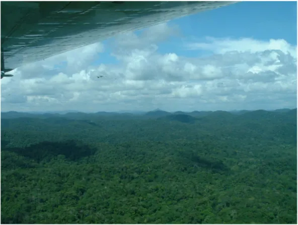 Figure 3 : Les villages Yanomami se situent en pleine forêt, dans une région très isolée