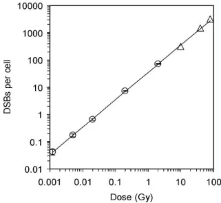Figure 12 : Illustration du nombre de cassure double brins de l’ADN par cellule en fonction de la  dose (10) 