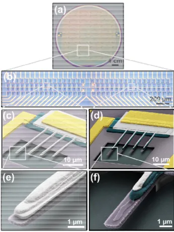 Fig. 1.  (a) Wafer-scale fabrication of wafer. (b) Each chip is composed o scanning electron microscope (SEM) cantilevers with geometries A and B  The color code use is the same for the two configurations for the multilayer st