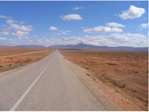 Figure 8 : Entre Aït Bni Mathar  et  Bouarfa,  dans  la  traversée  des  Hauts  Plateaux  de  l’Oriental  marocain,  la  steppe  d’Alfa  (Alfa  tenacissima)  se  mêle  de  plantes  en  coussinet  du  désert  (Frediola  aretioides)  (photo : Gilles B ENEST 