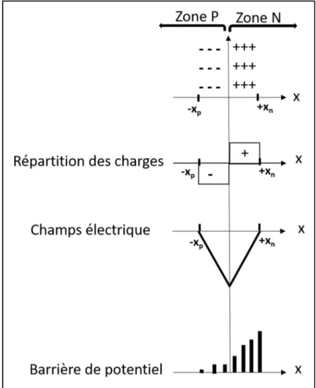 Figure 1-6 Barrière de potentiel d'une jonction PN  1.6.2  Caractéristiques d’une photodiode à base de jonction PN 