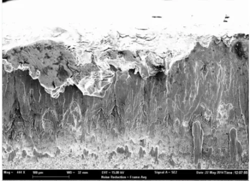 Fig. 4 SEM views of worn tools while turning Ti17 under f=0.3mm/rev and VC = 50 m/min 