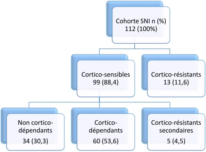Figure 18 : Réponse à la corticothérapie de la cohorte de syndromes néphrotiques idiopathiques 