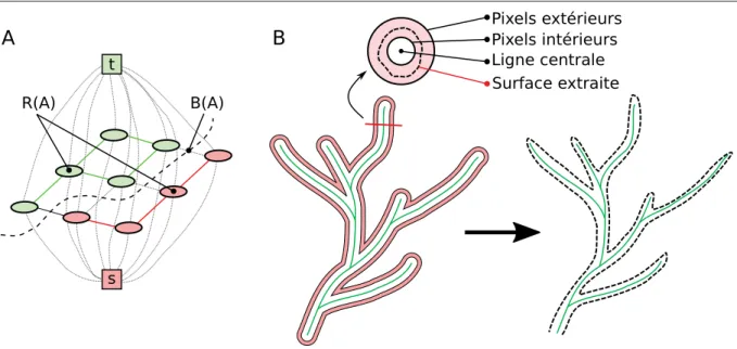 Figure 3.7 (A) La segmentation par graph-cut cherche à partitionner un graphe de manière à séparer les noeuds source [t] et puits [s]