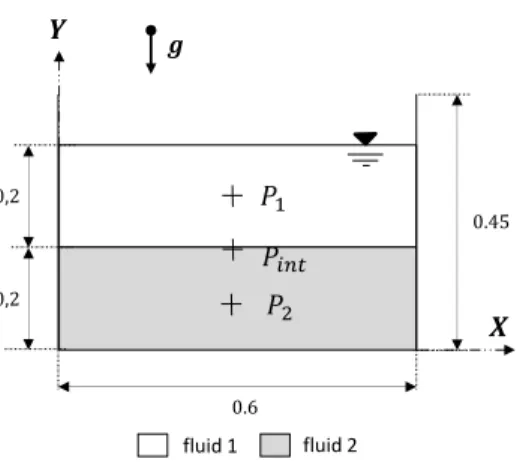 Figure 5: Geometrical details of two phases hydrostatic stratified column configuration.
